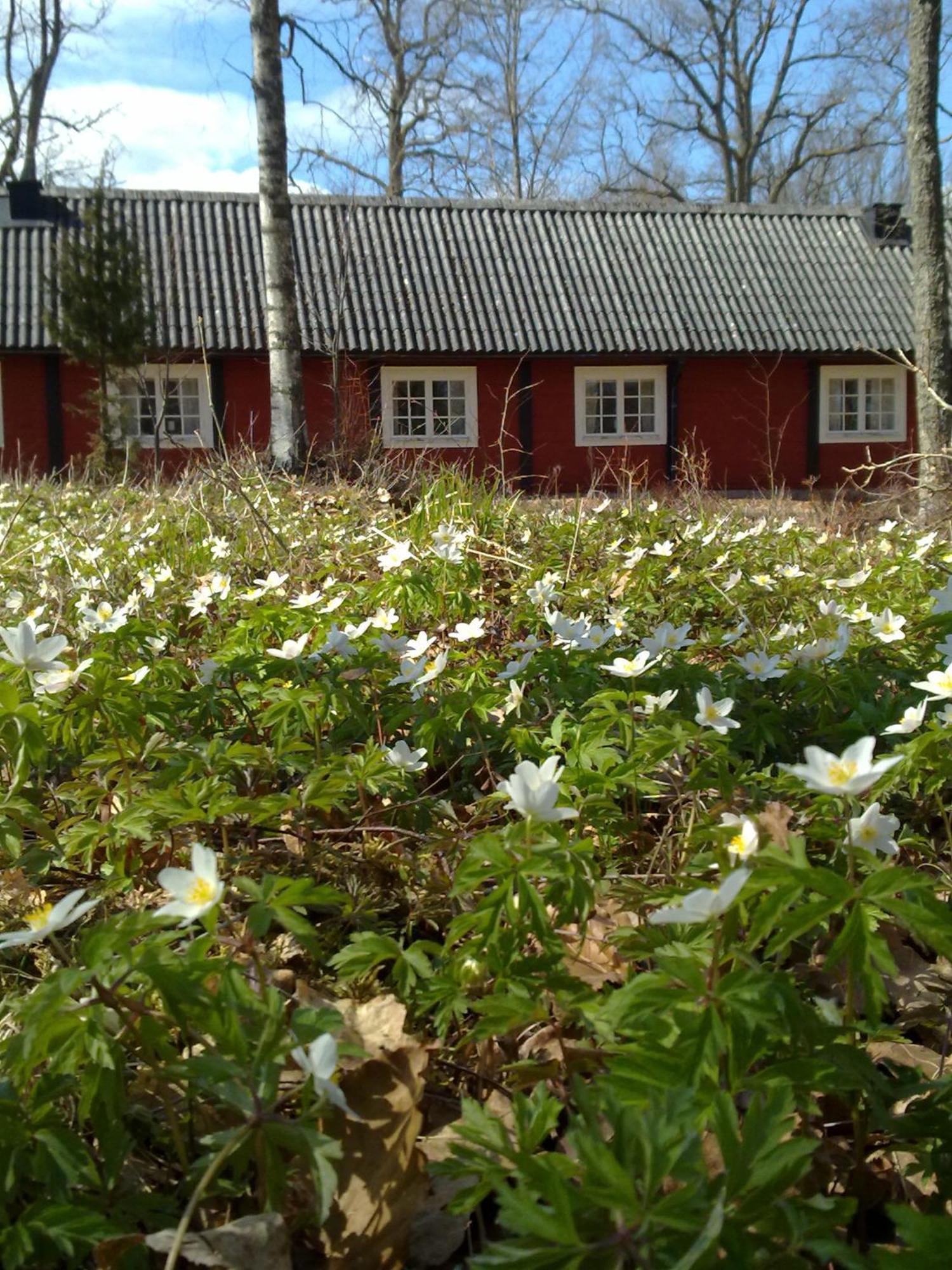 Stf 旅馆 Långasjö